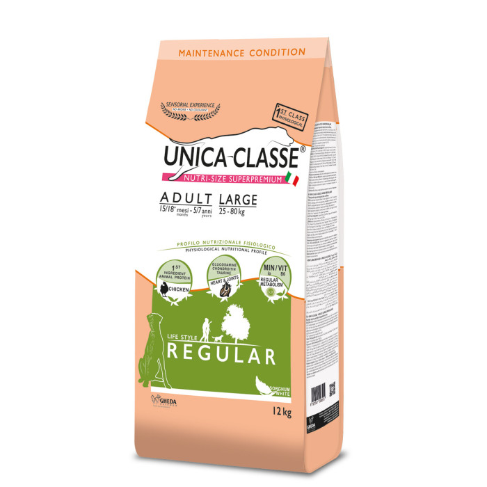 UNICA CLASSE Adult Large Regular 12kg