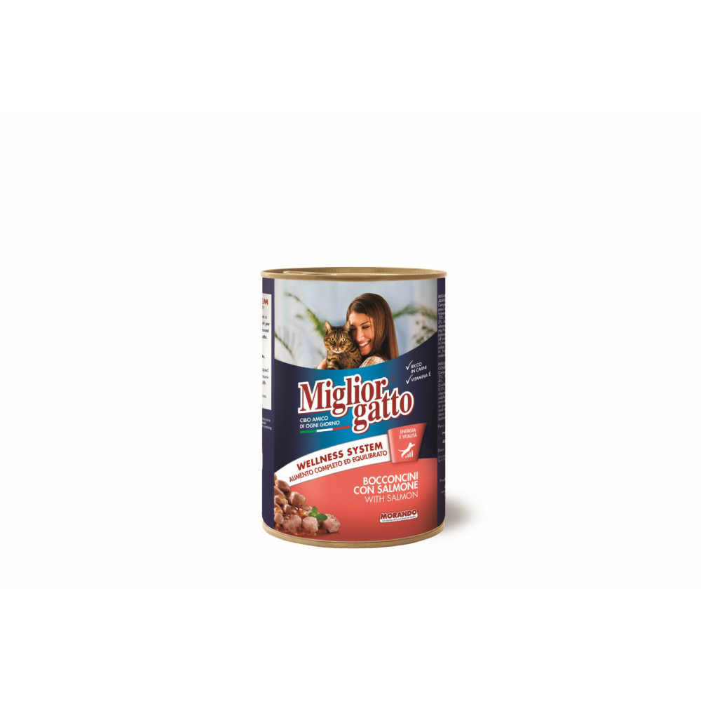 Miglior gatto Salmone boite 405 gr