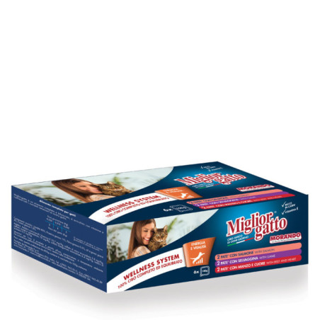 Miglior gatto pack 100gr 3x2 Manzo/Salmone/Selvaggina