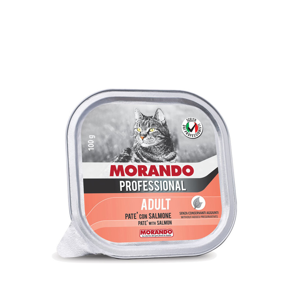 Miglior gatto professionnel salmone 100gr