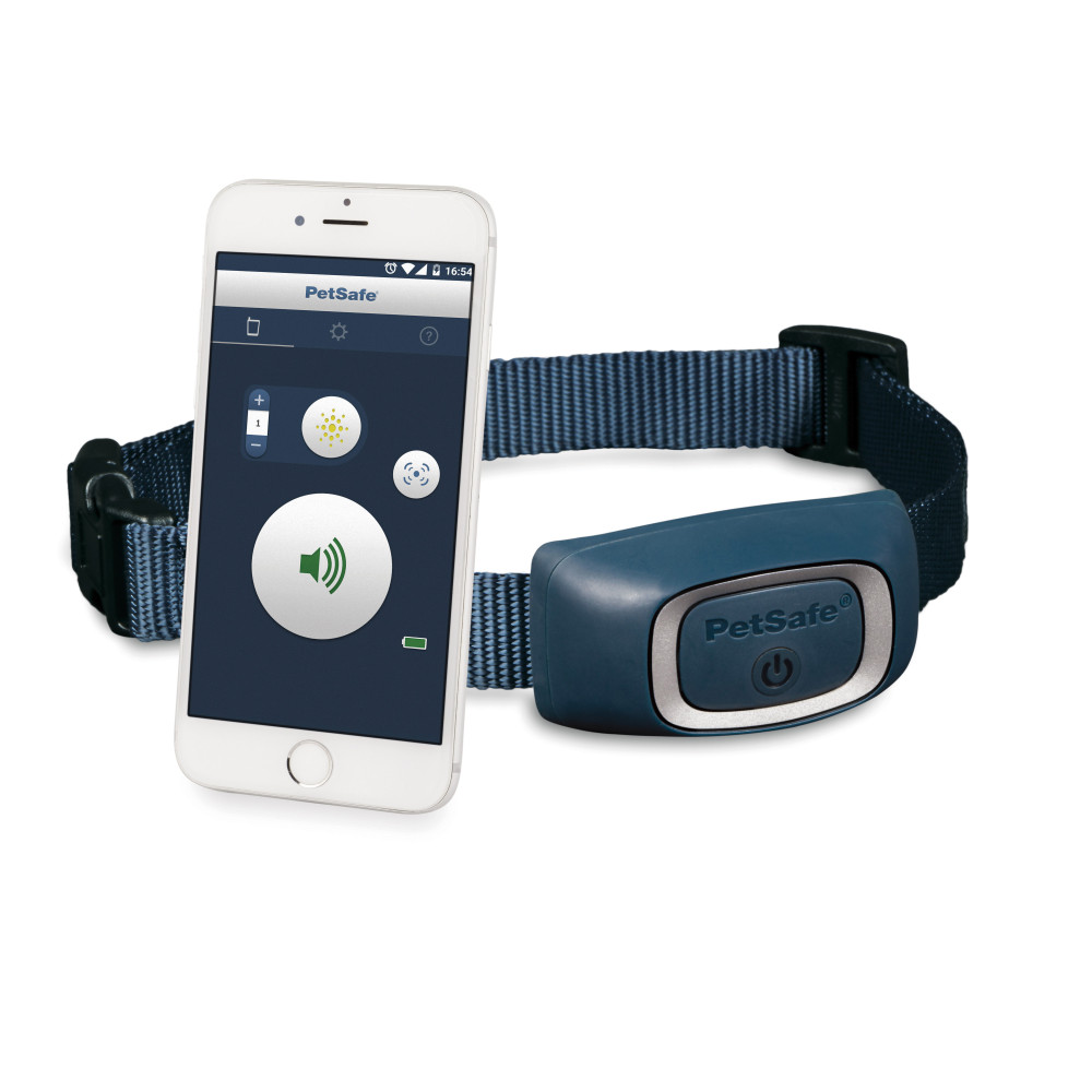 PDT19-16200 Collier de Dressage Smart Dog