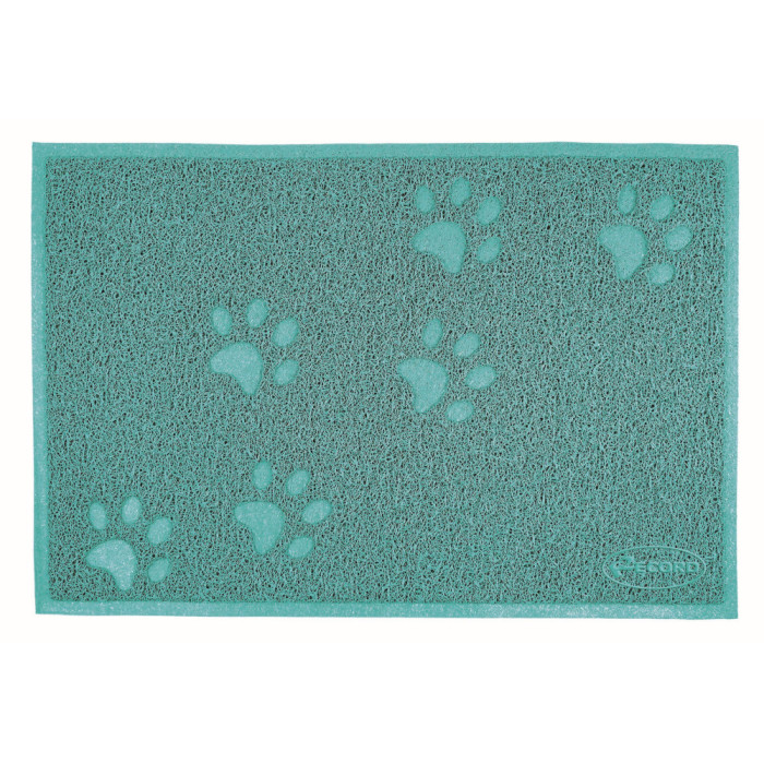 RECORD Tapis litiére en PVC Rectangulaire Aquamarine 60x40cm