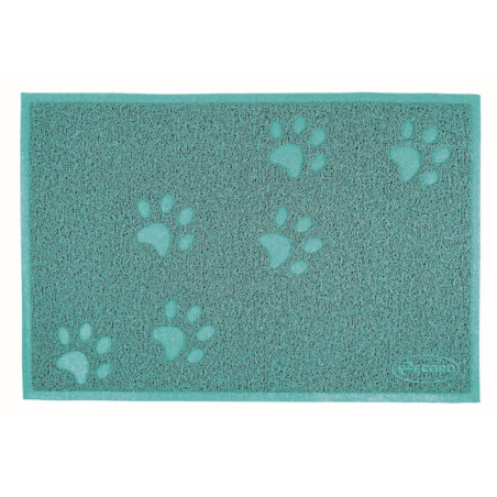 RECORD Tapis litiére en PVC Rectangulaire Aquamarine 60x40cm