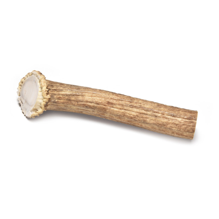 RECORD BestBone les bois du Cerf M 13x4x4cm