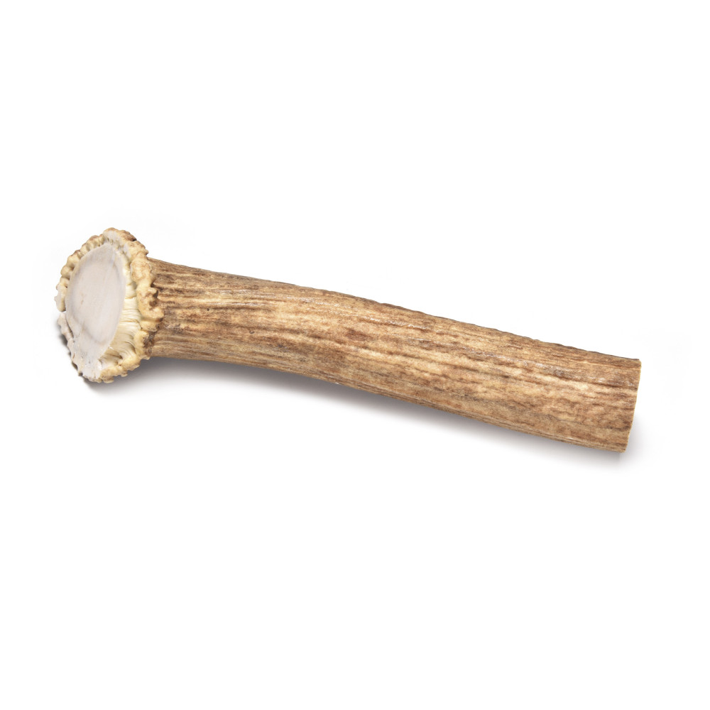 RECORD BestBone les bois du Cerf M 13x4x4cm