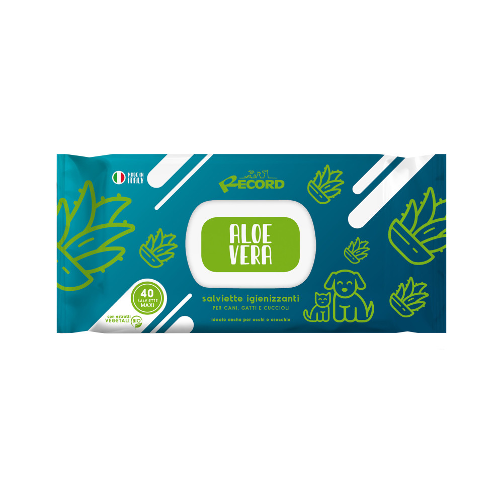 RECORD 40 lingettes Maxi ALOE VERA