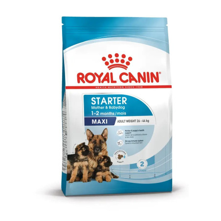 SHN Royal canin CHIEN Maxi Starter mother and baby 15 kg