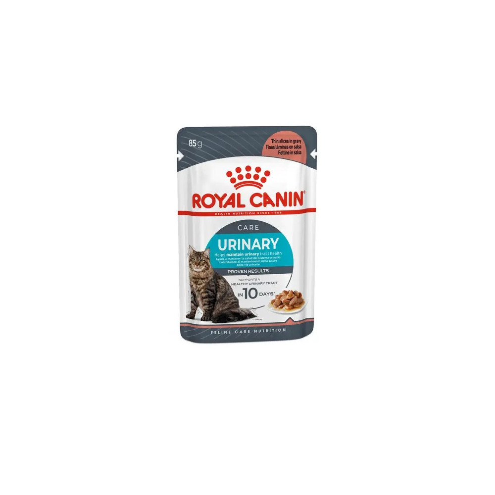 FCN Royal Canin CHAT Urinary Care 12x 85gr