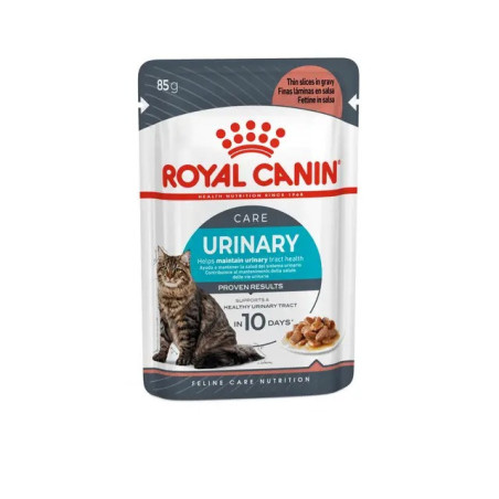 FCN Royal Canin CHAT Urinary Care 12x 85gr