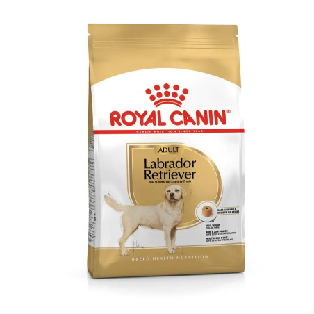 BHN Royal Canin CHIEN Labrador Adult 12 kg