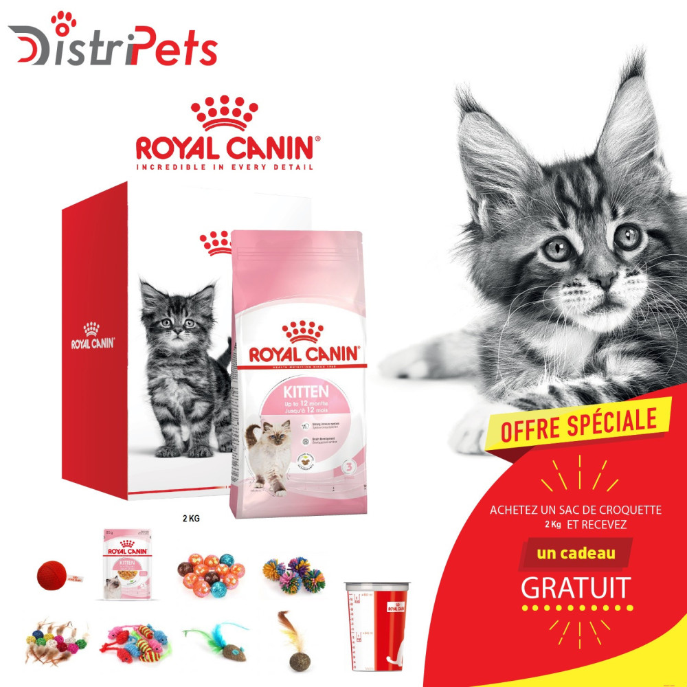 PACK Royal canin CHAT Kitten36 2 Kg + 2 Pochons