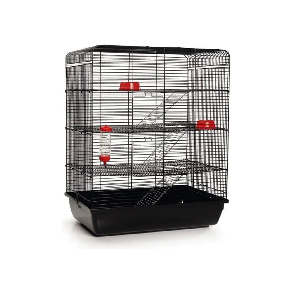 Cage Rongeur REMY Noir 58x38x71