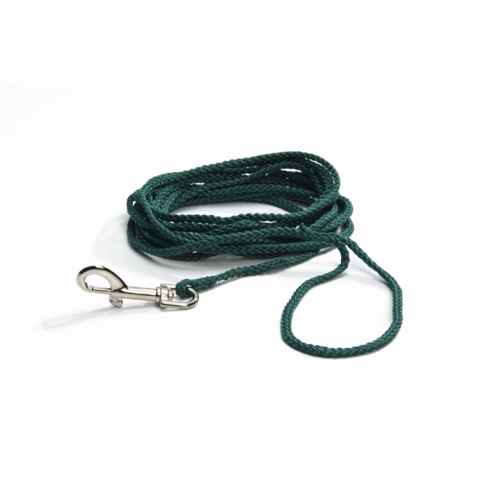 Laisse nylon Vert in Blister. 15m