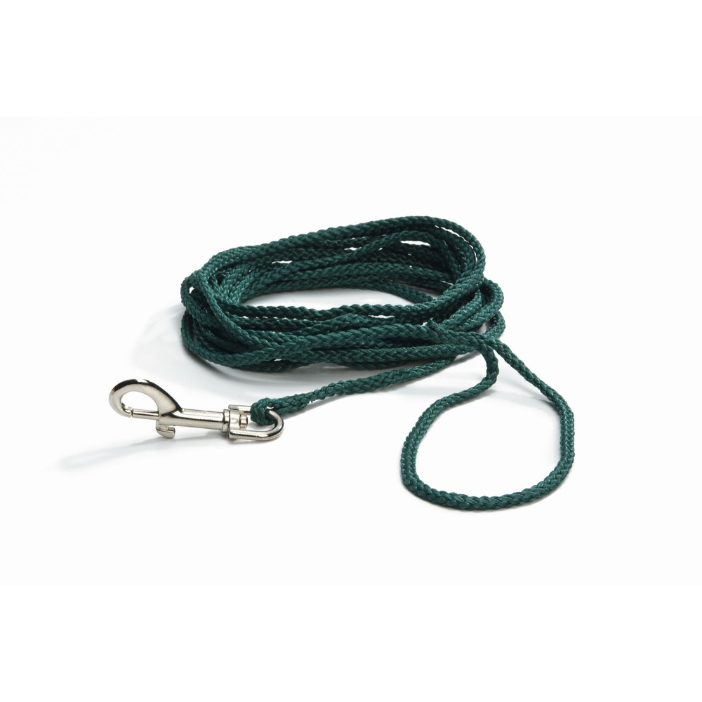Laisse nylon Vert in Blister. 15m