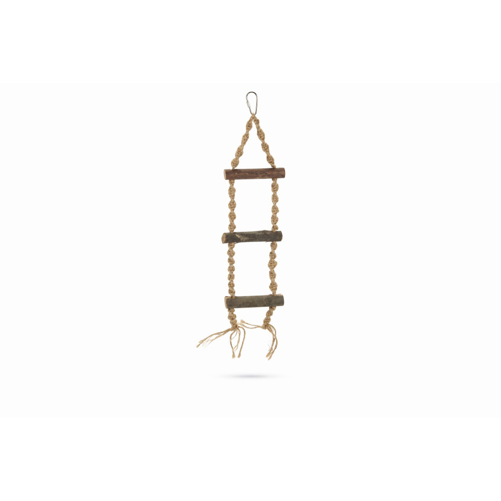 Jouet Perroquet Swing Ladder