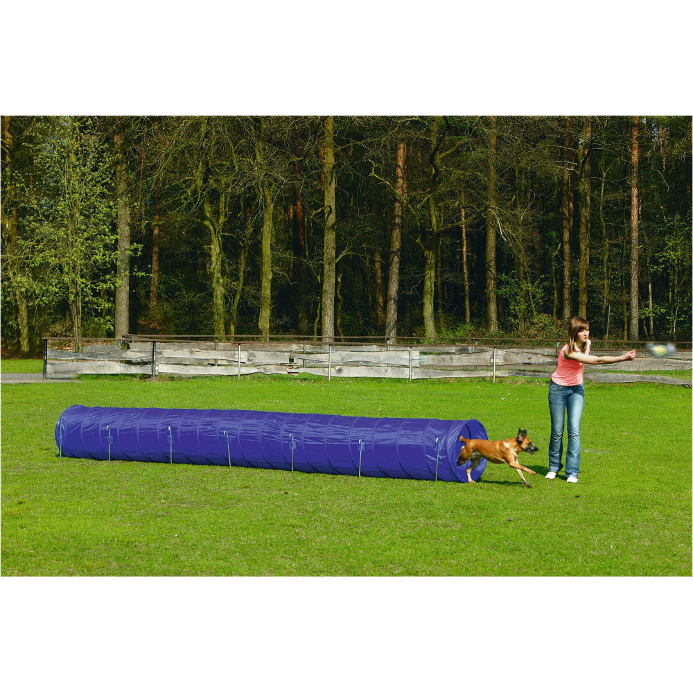 Tunnel AGILITY Large 525x60x60
