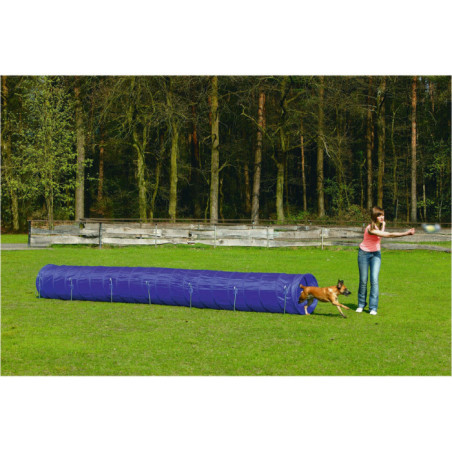 Tunnel AGILITY Large 525x60x60
