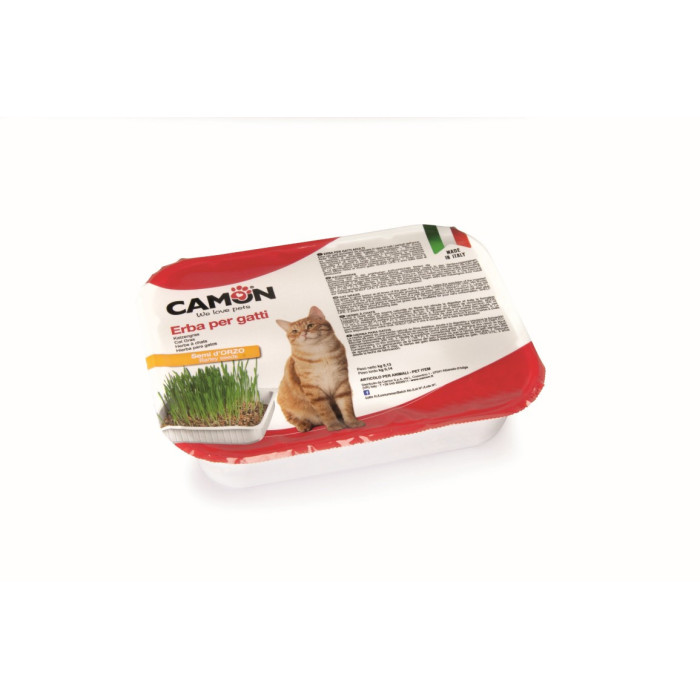 CAMON-Cat grass - BARLEY