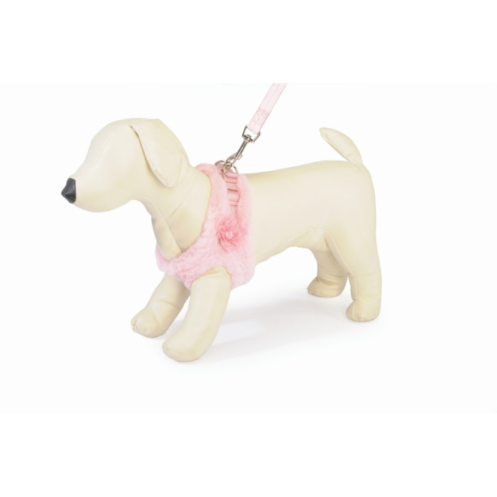 CAMON-Harnais et laisse 120 cm Rose Taille Xs