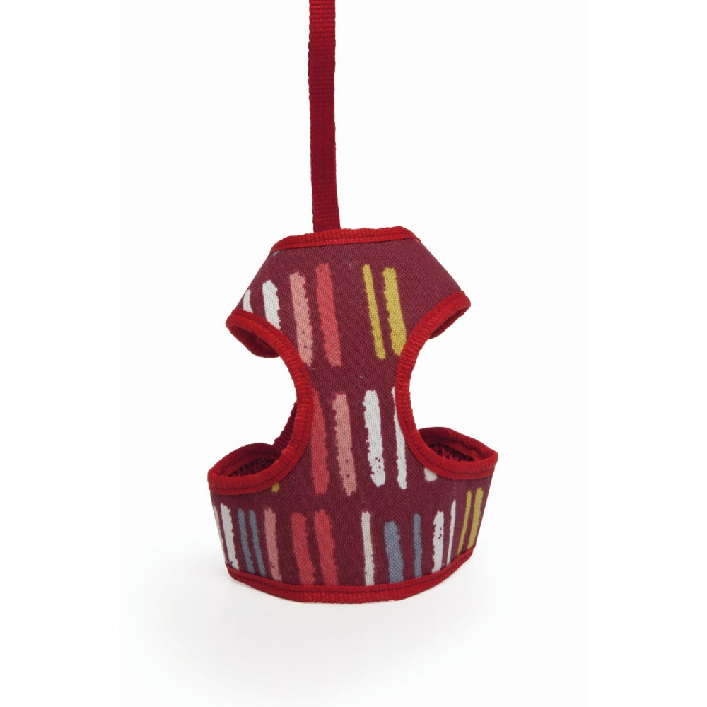 CAMON-Harnais et laisse Multicolore Tailles XS