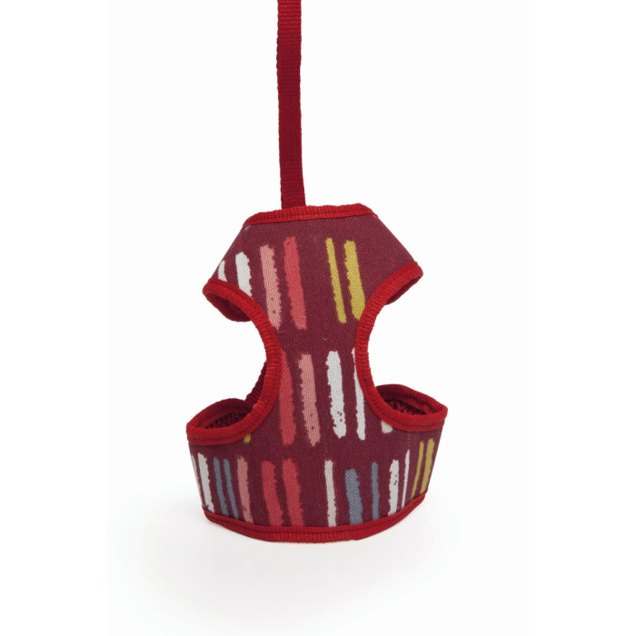 CAMON-Harnais et laisse Multicolore Tailles SM