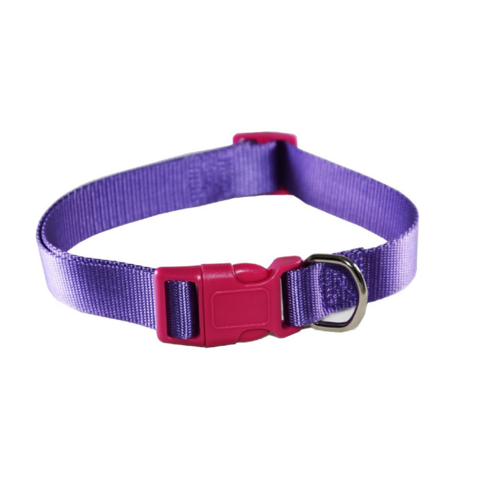 FELICAN Collier Chien UNI Mauve 1 cm