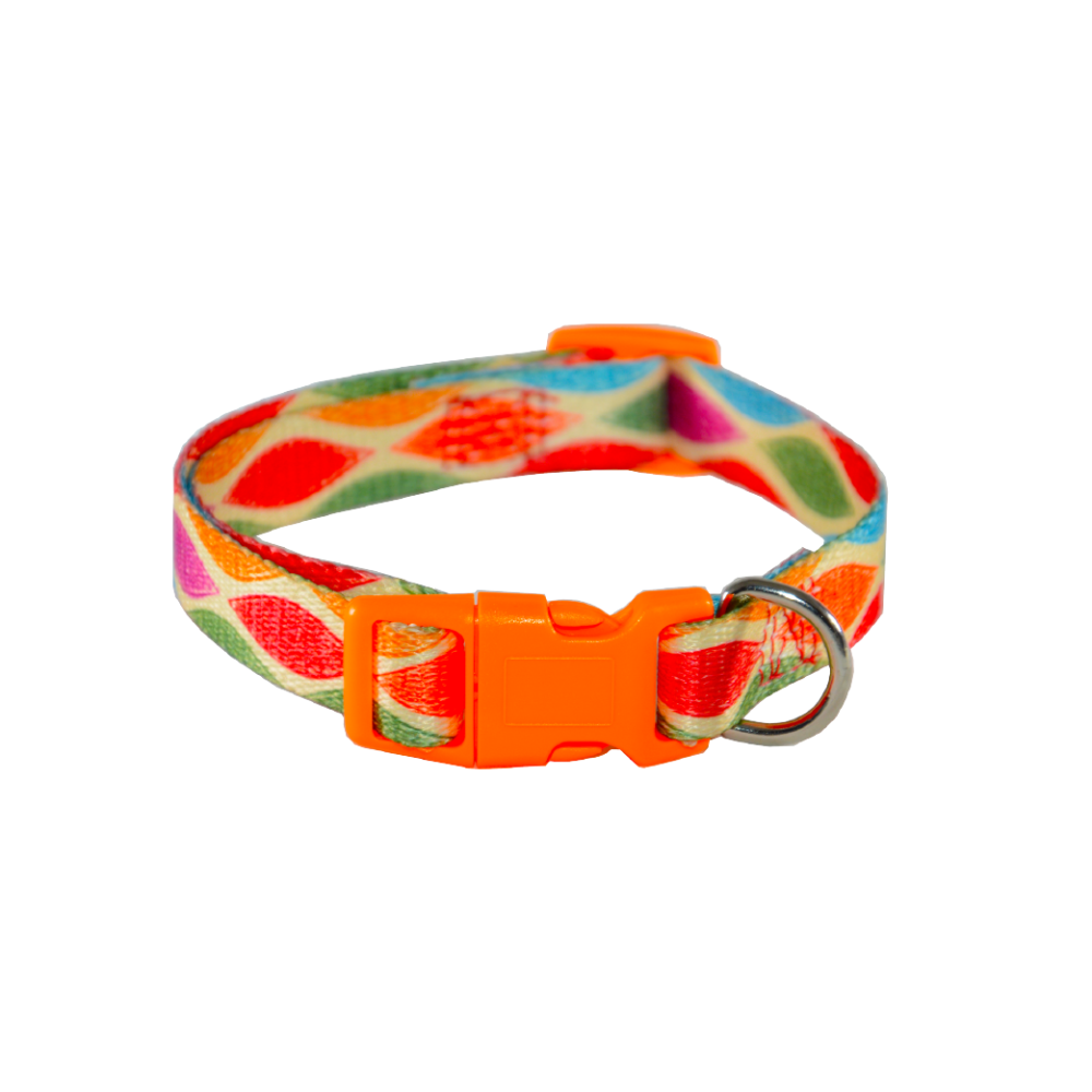 FELICAN COLLIER Chien 212101 PATTERNS 1.5 cm